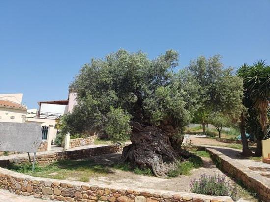 Maláthiros Villa Margarita'S Farm, Private Pool מראה חיצוני תמונה