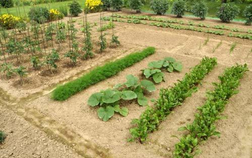 Maláthiros Villa Margarita'S Farm, Private Pool מראה חיצוני תמונה